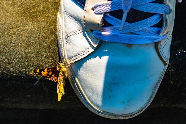 A close-up shot of a variety of statement sneakers, showcasing different styles, colors, and embellishments, including chunky sneakers, colorful trainers, and sneakers with metallic accents.