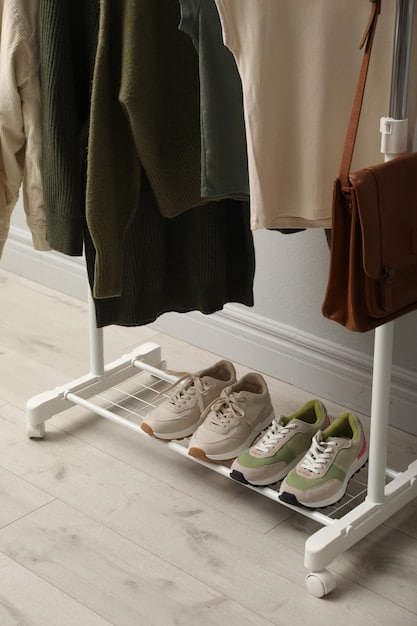 A minimalist shoe rack displaying a curated selection of essential shoe styles including white sneakers, black ankle boots, nude heels, and classic loafers. The background is a clean, modern living space with natural light.